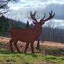 Large Metal Stag Garden Statue, thumbnail 3 of 4