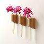 Solid Oak Wall Mounted Stem Vases – Set Of Three, thumbnail 1 of 8