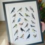 British Birds Illustrated Print, thumbnail 4 of 8