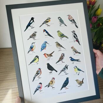 British Birds Illustrated Print, 4 of 8