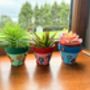 Terracotta Plant Pot Kit For Kids, thumbnail 3 of 5