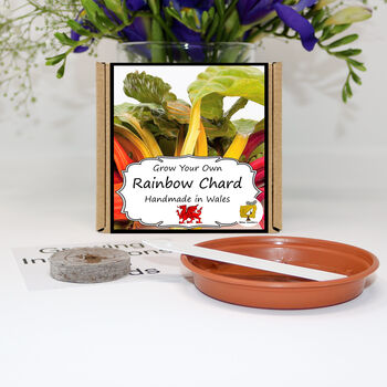 Gardening Gift. Rainbow Chard Veg Growing Kit, 2 of 4
