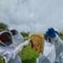 Rural Beekeeping And Craft Beer Experience For Two, thumbnail 1 of 9