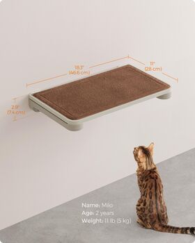Cat Shelf Wall Mounted Replaceable Cat Wall Furniture, 2 of 7