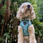 Festive Plaid Christmas Dog Collar, thumbnail 9 of 9
