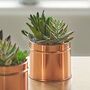 A Copper Coloured Tin Of Faux Succulents, thumbnail 1 of 2