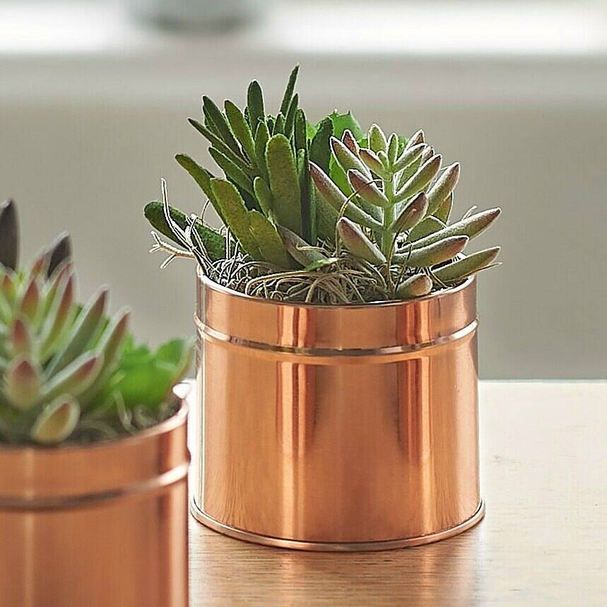 A Copper Coloured Tin Of Faux Succulents, 1 of 2