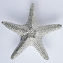 Large Starfish Solid Pewter Cabinet Handle, Door Knobs, thumbnail 2 of 9