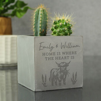 Highland Cow Plant Pot For New Home, 2 of 2