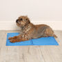 Blue Cooling Mat For Dogs, thumbnail 4 of 7