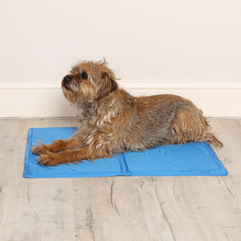 Blue Cooling Mat For Dogs, 4 of 7