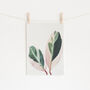 Pink Leaves I Photographic Still Life Print, thumbnail 1 of 2