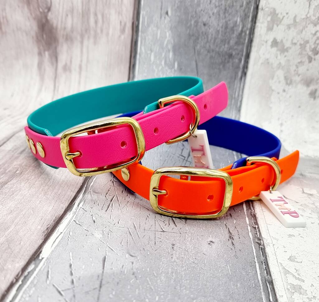 Two Coloured Biothane® Dog Collar By Trinkety Paws