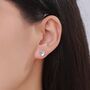 Sterling Silver Rolled Up Armadillo Stud Earrings, thumbnail 3 of 12