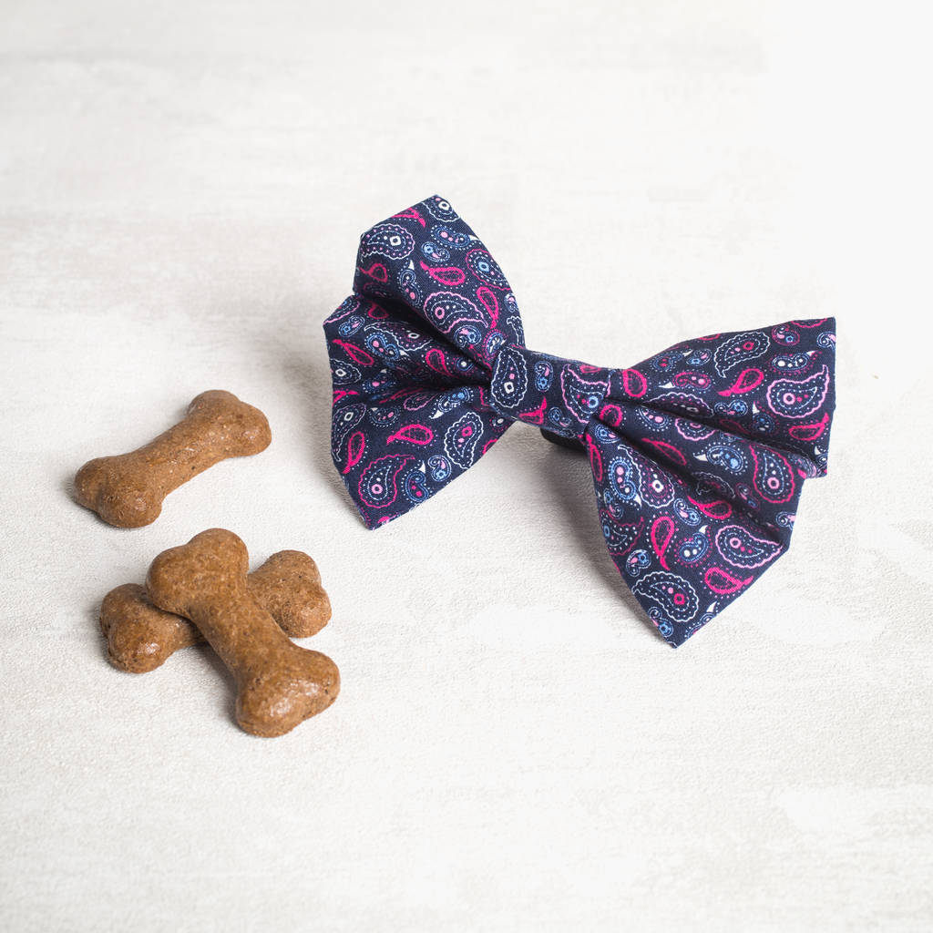 Navy And Pink Paisley Dog Bow Dog Bow Tie By Charlie and Boo