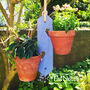 Two Pot Hanging Plant Holder, thumbnail 2 of 5