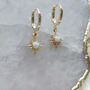 Opal Starburst Huggie Gold Plated Hoop Earrings, thumbnail 5 of 5
