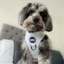 Adjustable Dog Harness | Smiley Face Check, thumbnail 5 of 7