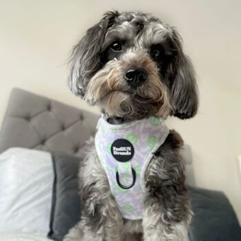 Adjustable Dog Harness | Smiley Face Check, 5 of 7