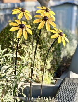 Set Of Five Rudbeckia Flower Sculptures, 3 of 7