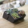 Black Cement Planter With Choice Of Plant, thumbnail 6 of 8