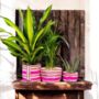 Eco Striped Recycled Plant Holder, thumbnail 4 of 7