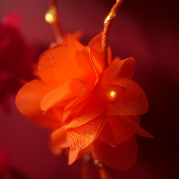 Diwali Marigold Fairy Lights, 6 of 6