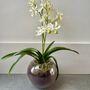 Artificial White Orchid In Glass Vase, thumbnail 2 of 5