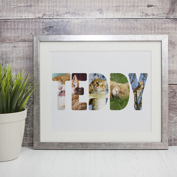 Personalised Framed Cat Photo Print, 2 of 6