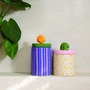 Candy Coloured Shell Lid Storage Jars, thumbnail 1 of 1