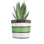 Striped Recycled House Plant Pot Covers Three Sizes, thumbnail 6 of 12