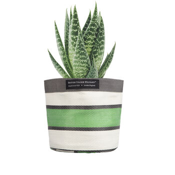 Striped Recycled House Plant Pot Covers Three Sizes, 6 of 12