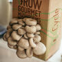Grow Your Own Mushrooms Kit, thumbnail 1 of 6