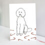 White Poodle Christmas Card, thumbnail 1 of 6