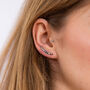 Silver Or Gold Plated Rainbow Climber And Cuff Earrings, thumbnail 2 of 8