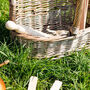 Personalised Deluxe Gardening Tool Basket, thumbnail 5 of 9