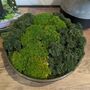 Preserved Moss In A Large Ceramic Handmade Bowl, thumbnail 3 of 8
