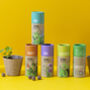 Five Garden Herb Seed Ball Tubes Including Mint, Basil And Chive, thumbnail 1 of 8