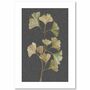 Grey Vintage Botanical Leaf Art Print, thumbnail 6 of 6