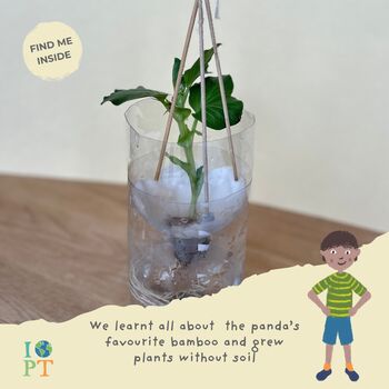 Children's Eco Activity Box: Gentle Giant Pandas, 8 of 12