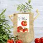 Cherry Tomato Jute Bag Grow Set, thumbnail 5 of 6