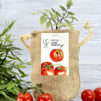 Cherry Tomato Jute Bag Grow Set, 5 of 6