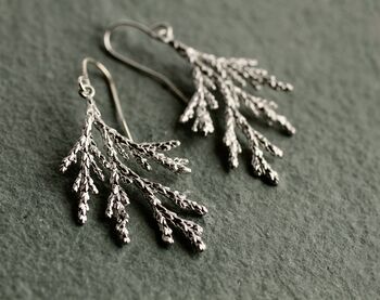 Conifer Tree Branch Earrings, 4 of 7