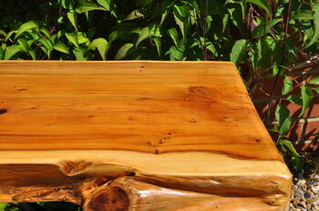 Handcrafted Yew Wood Bench Seat, 6 of 8