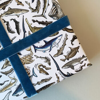 Sharks Species Wrapping Paper Set, 8 of 12
