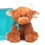 Brown Highland Cow Soft Toy With Birthday Keyring, thumbnail 1 of 3