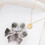 Inkless Pet Paw Print Kit And Ink Free Baby Handprint And Footprint Kit, thumbnail 1 of 3