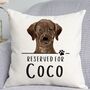 Reserved For Chocolate Labrador Cushion, thumbnail 1 of 2