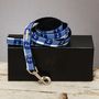 The New Anglesey Blue White Checked Dog Lead, thumbnail 2 of 3