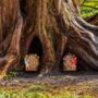 Fairy Door Garden Ornaments Mini 2pc Set Outdoor Pixies, thumbnail 11 of 12